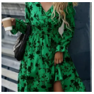Long Sleeve Floral Print Dress